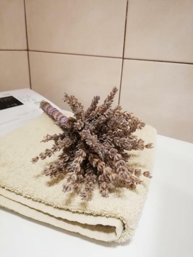 Apartman Jela Šibenik Esterno foto